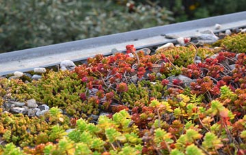the cost of Eastham green roof installation